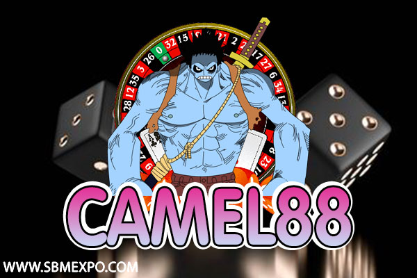 camel88